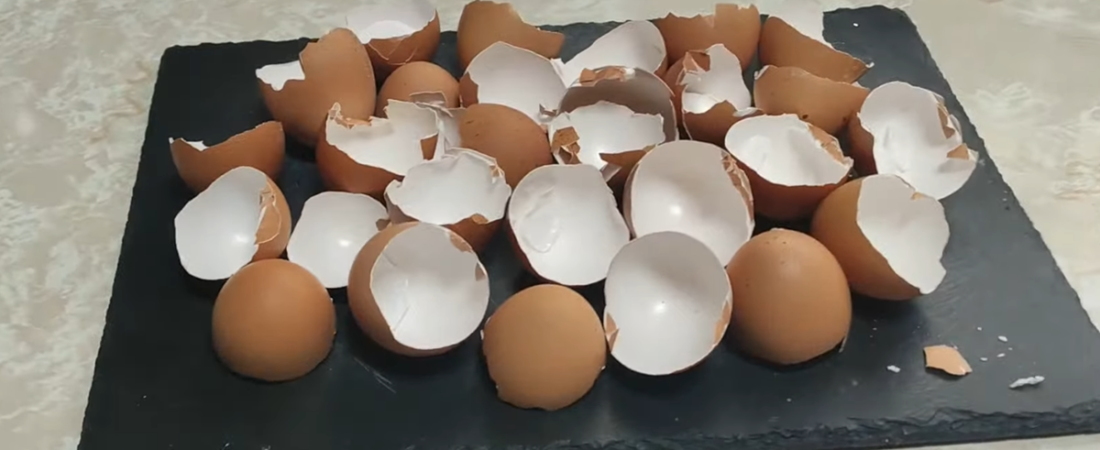 Abonos Orgánicos Caseros_ ¡Hazlo Tú Mismo!