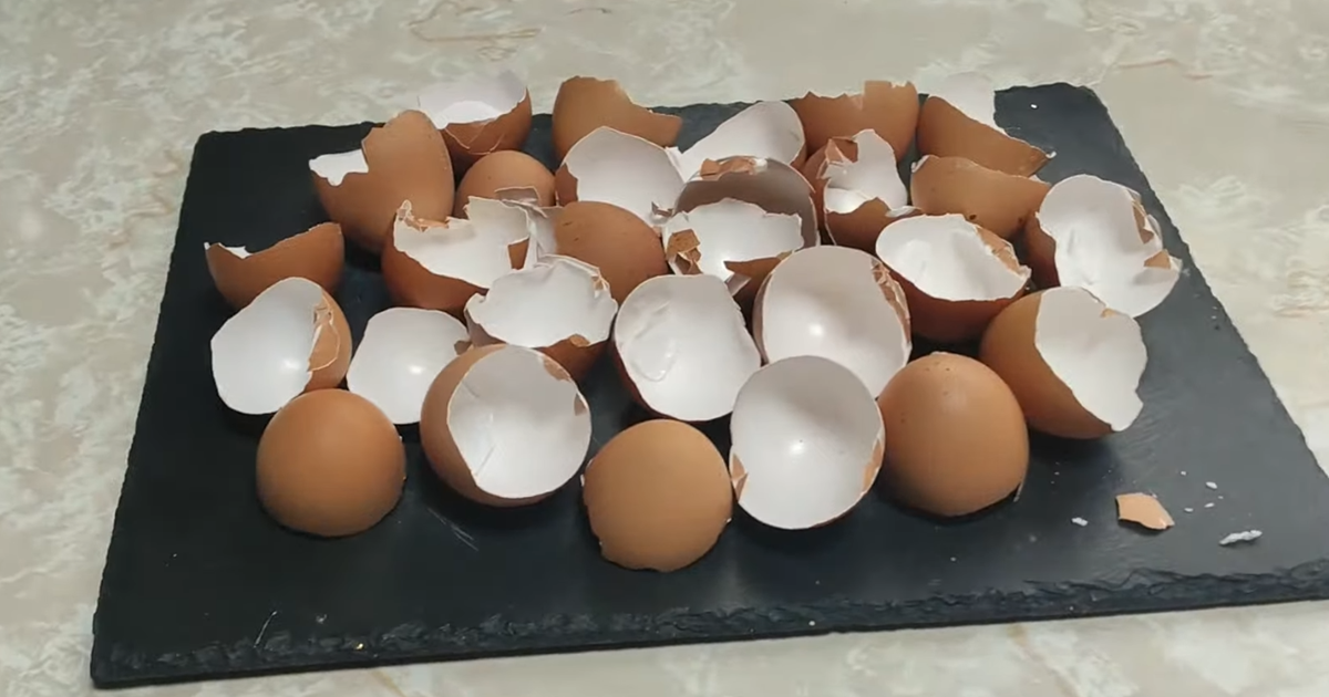 Abonos Orgánicos Caseros_ ¡Hazlo Tú Mismo!